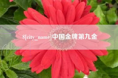 扬中中国金牌第九金