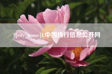 扬中1.中国执行信息公开网