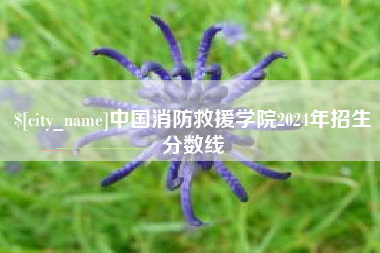 扬中中国消防救援学院2024年招生分数线