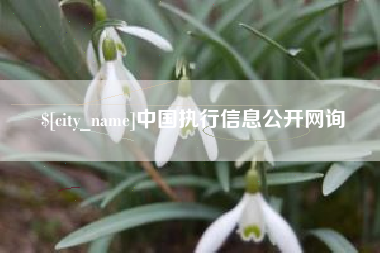 扬中中国执行信息公开网询