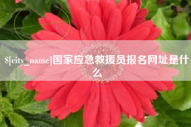 扬中国家应急救援员报名网址是什么