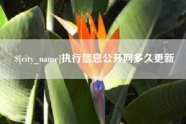 扬中执行信息公开网多久更新