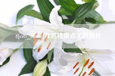 扬中九宫格盘点工具图片