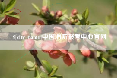 扬中中国消防报考中心官网