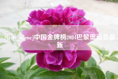 扬中中国金牌榜2024巴黎奥运会最新