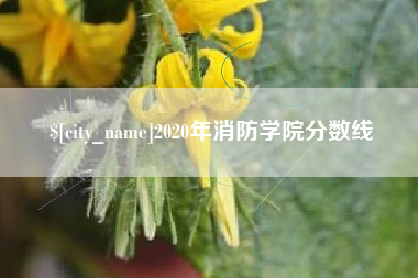 扬中2020年消防学院分数线