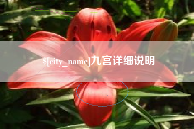 扬中九宫详细说明