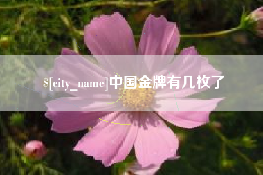 扬中中国金牌有几枚了