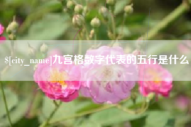 扬中九宫格数字代表的五行是什么