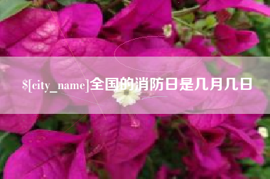 扬中全国的消防日是几月几日