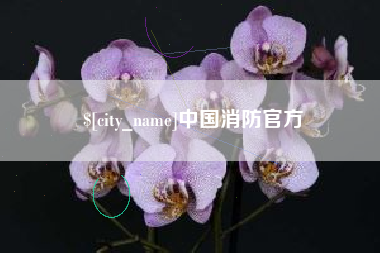 扬中中国消防官方