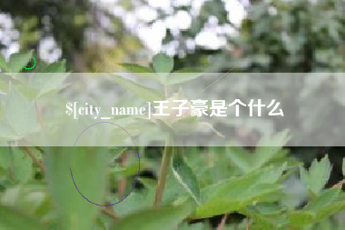 扬中王子豪是个什么