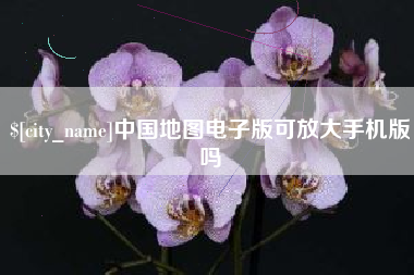 扬中中国地图电子版可放大手机版吗