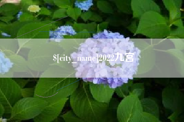 扬中2022九宫