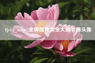 扬中金牌图片大全大图卡通头像
