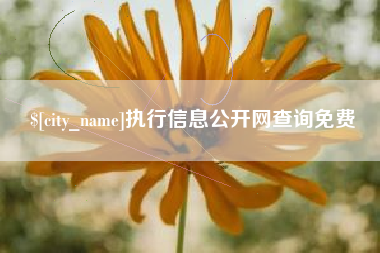 扬中执行信息公开网查询免费