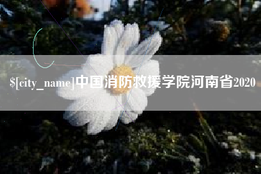 扬中中国消防救援学院河南省2020